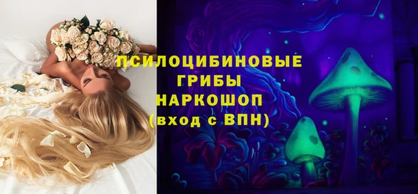 ешки Алзамай