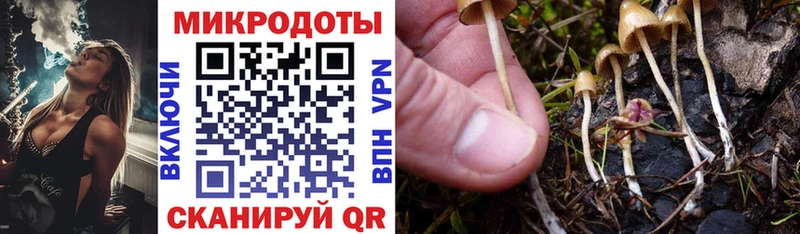 Псилоцибиновые грибы Psilocybe  магазин    Сергач 